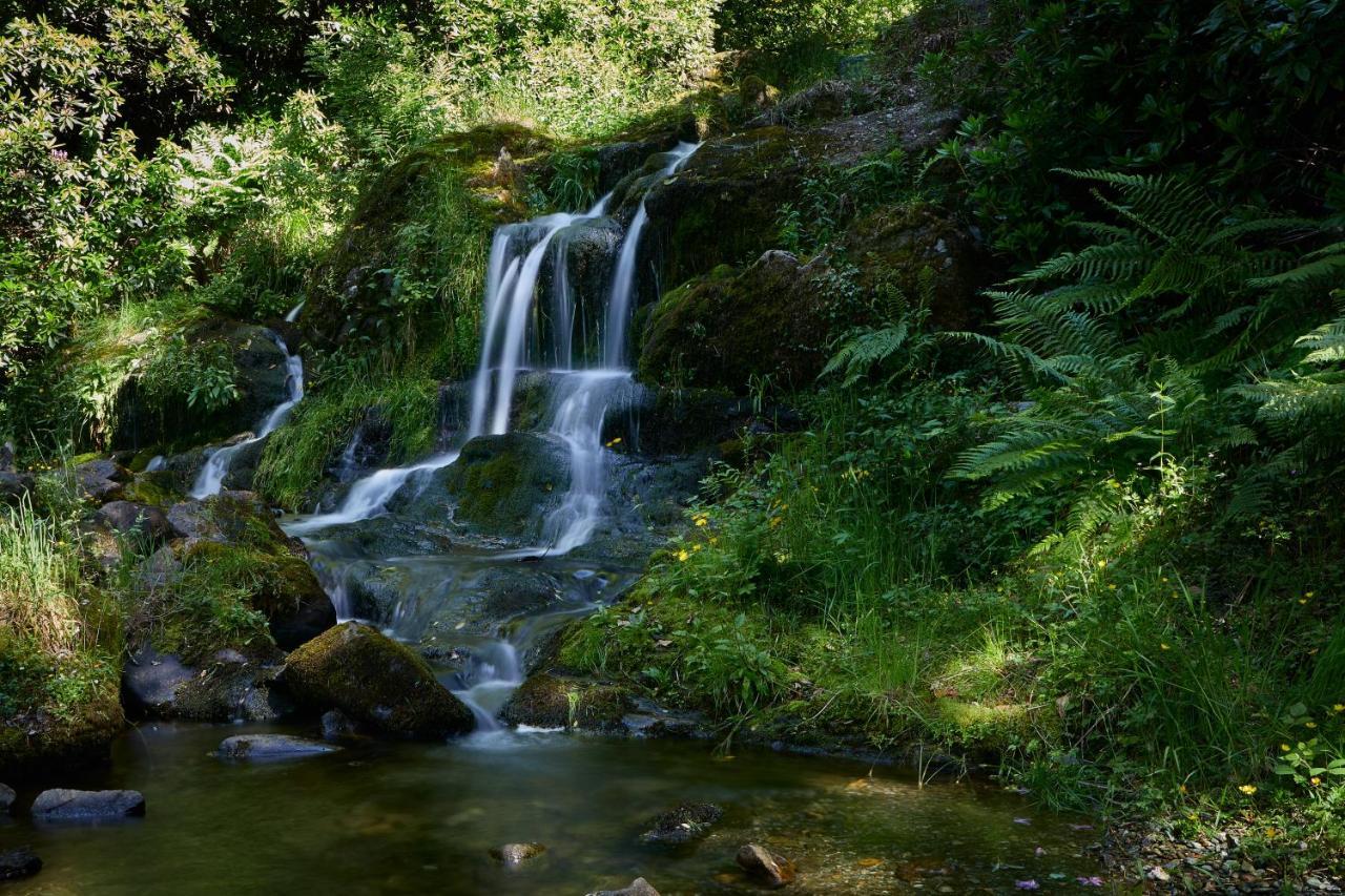 Macdonald Forest Hills Hotel & Spa Aberfoyle  Esterno foto