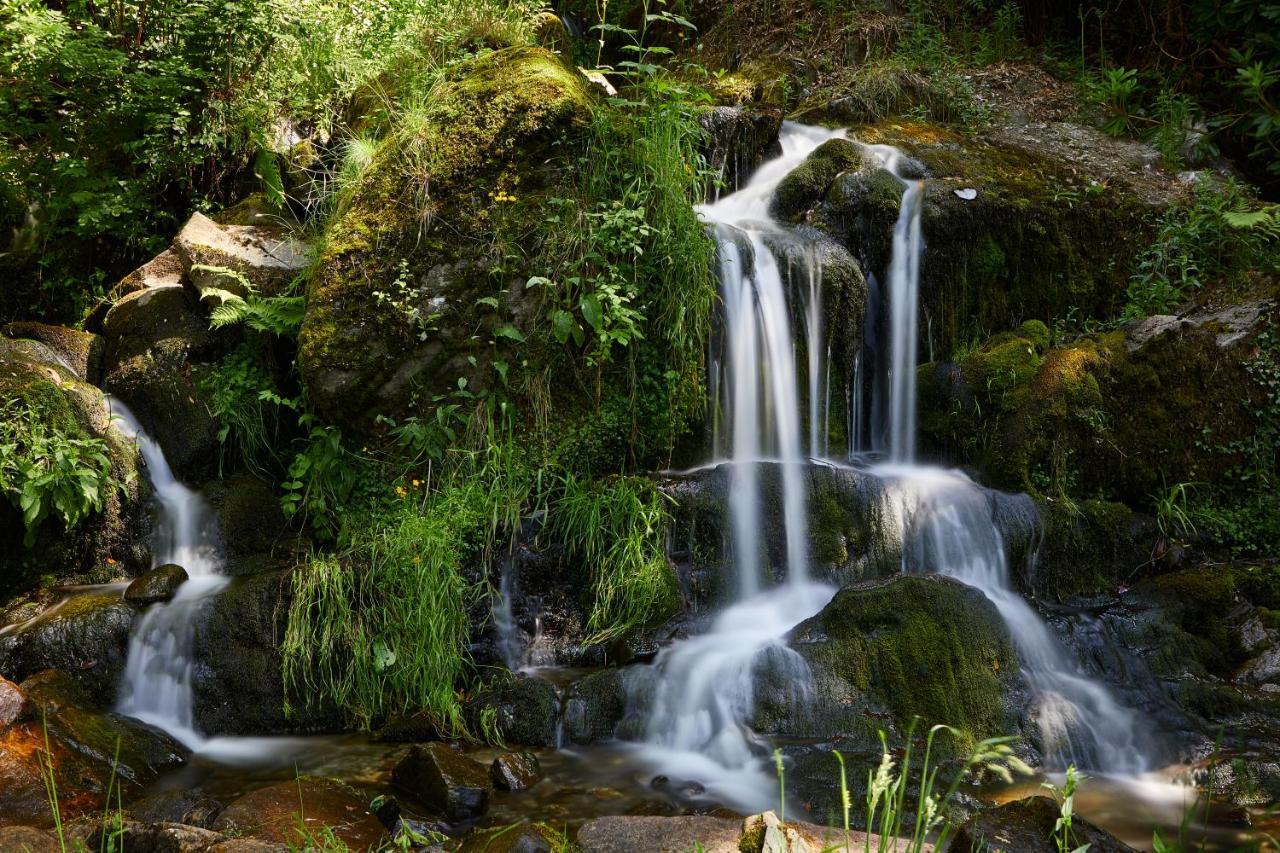 Macdonald Forest Hills Hotel & Spa Aberfoyle  Esterno foto